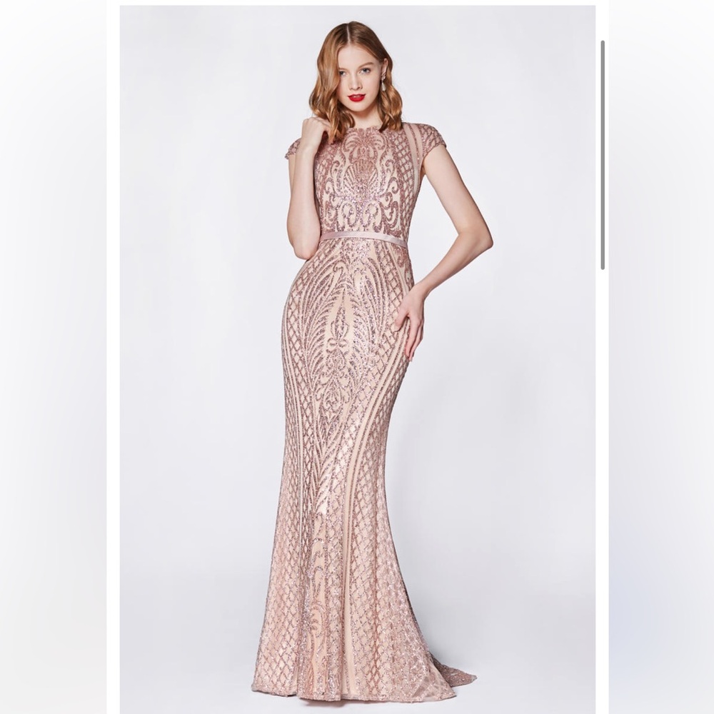 NWT Rose Gold Cinderella Divine J768 Long Formal Glitter Dress
